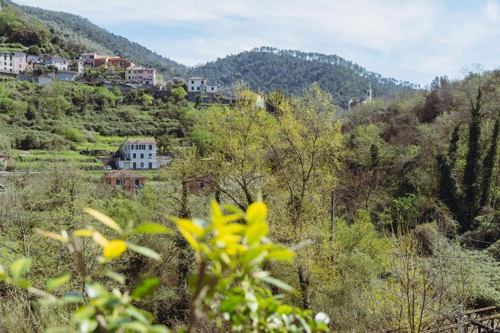 Residenza Nemus Mare E Montagna Lejlighed Graveglia Eksteriør billede